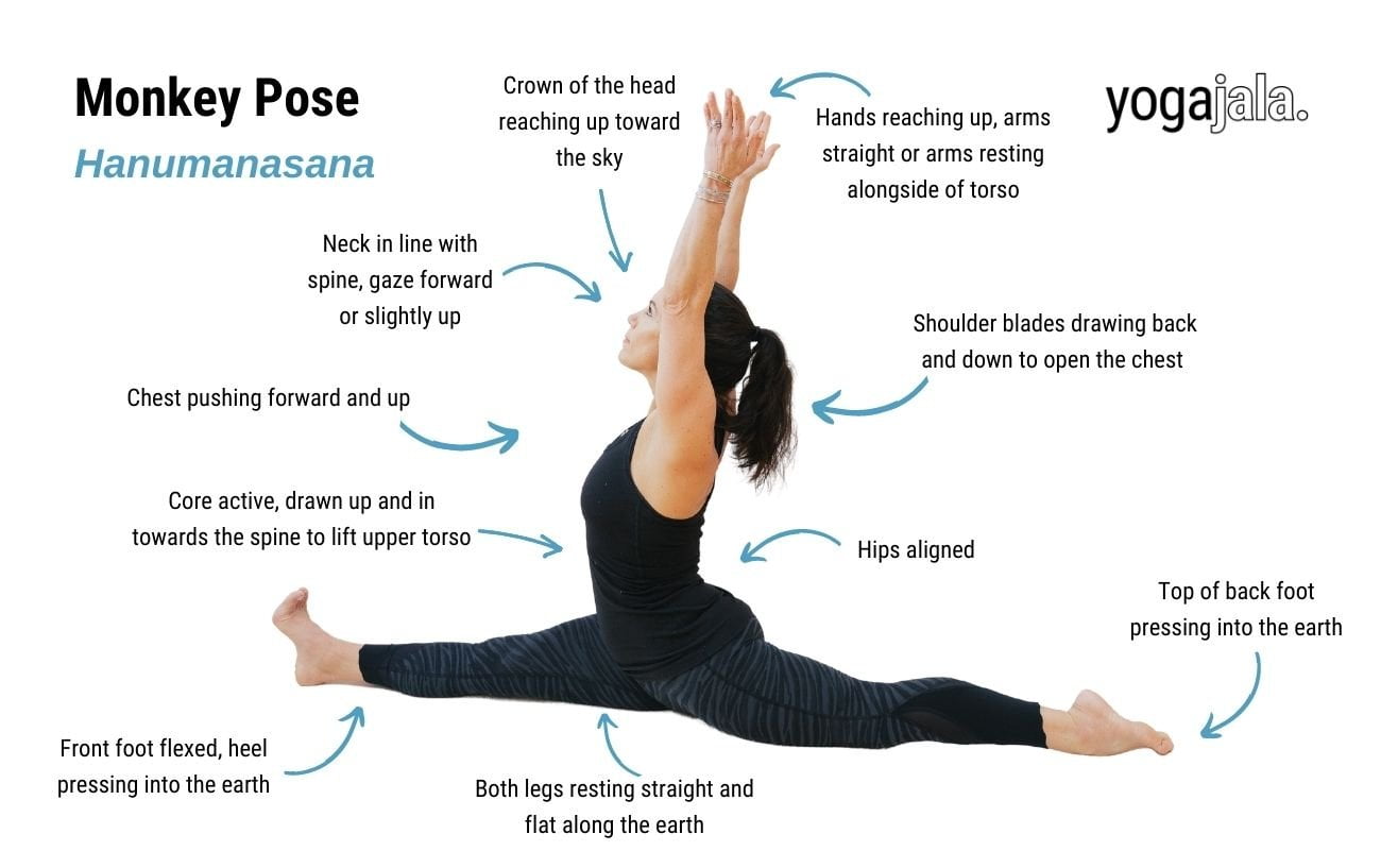 Mastering the Monkey Pose: Elevate Your Yoga Practice with this Playful ...